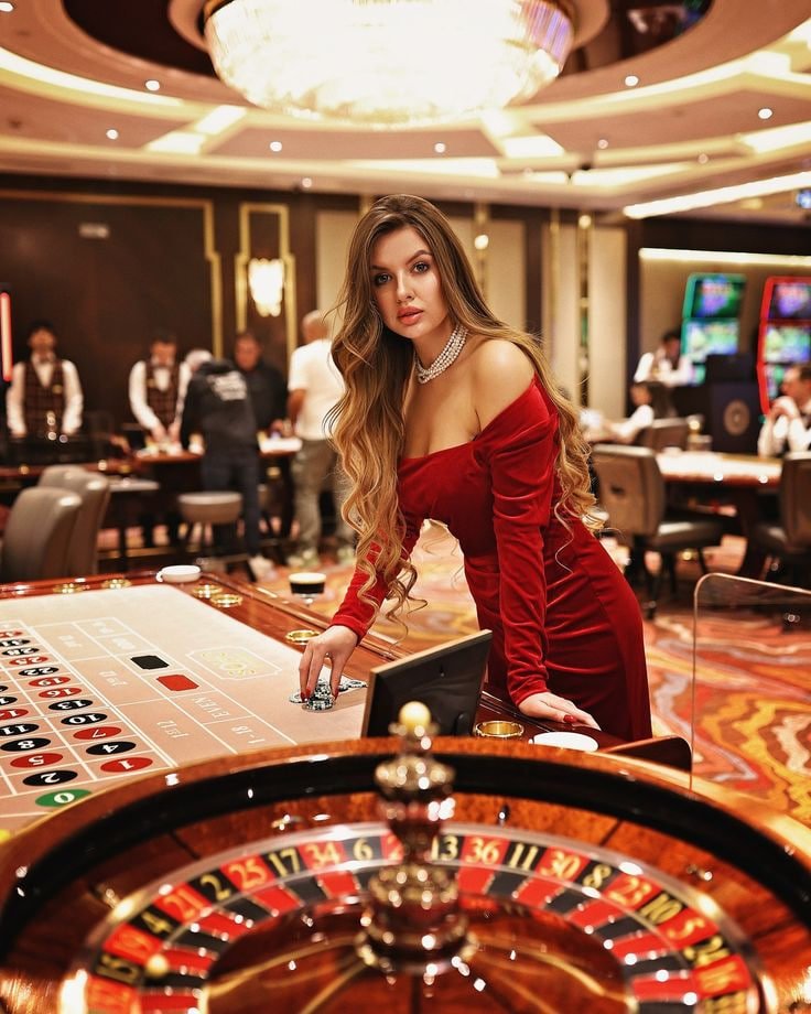 7755 bet