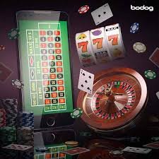 7755 bet